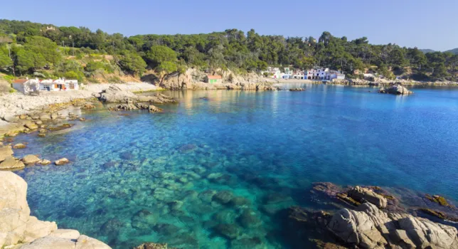 Campings en Palamós - CampingDirect - Imagen n°2