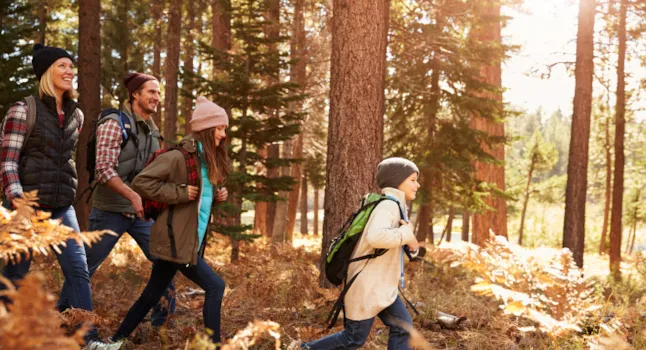 Un soggiorno in campeggio per l'Immacolata 2026 - CampingDirect - Immagine n°2