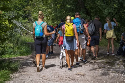 Eine Gruppe von Menschen, die mit Hunden im Nationalpark Plitvicer Seen spazieren geht, Kroatien