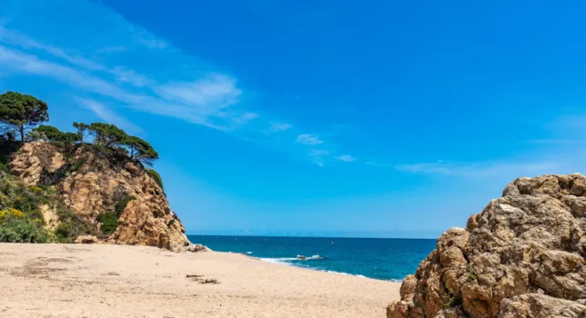 Campings Pineda del Mar - CampingDirect - Imagen n°2