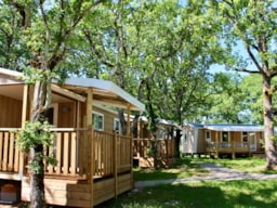 Accommodation - Family Premium 28/29M² - Air-Conditioning + Tv - Camping Koawa Les Cigales