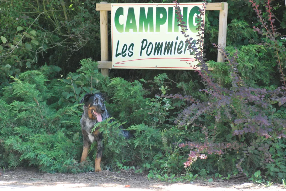 Camping Les Pommiers Pays d'Auge - image n°2 - Camping Direct