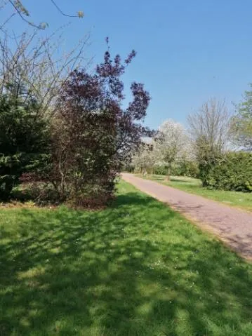 Emplacement Sans Électricité
