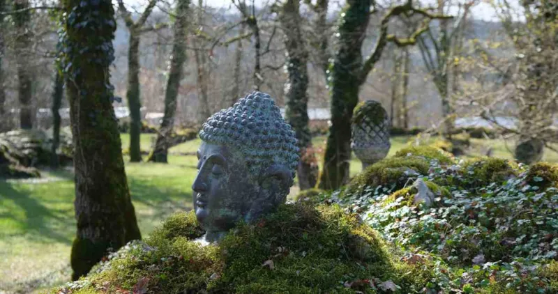 Emplacement Confort - Electricité