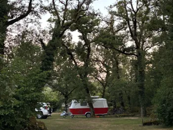 Stellplatz - Campingplatz Komfort - Strom - Camping Domaine de la Faurie 