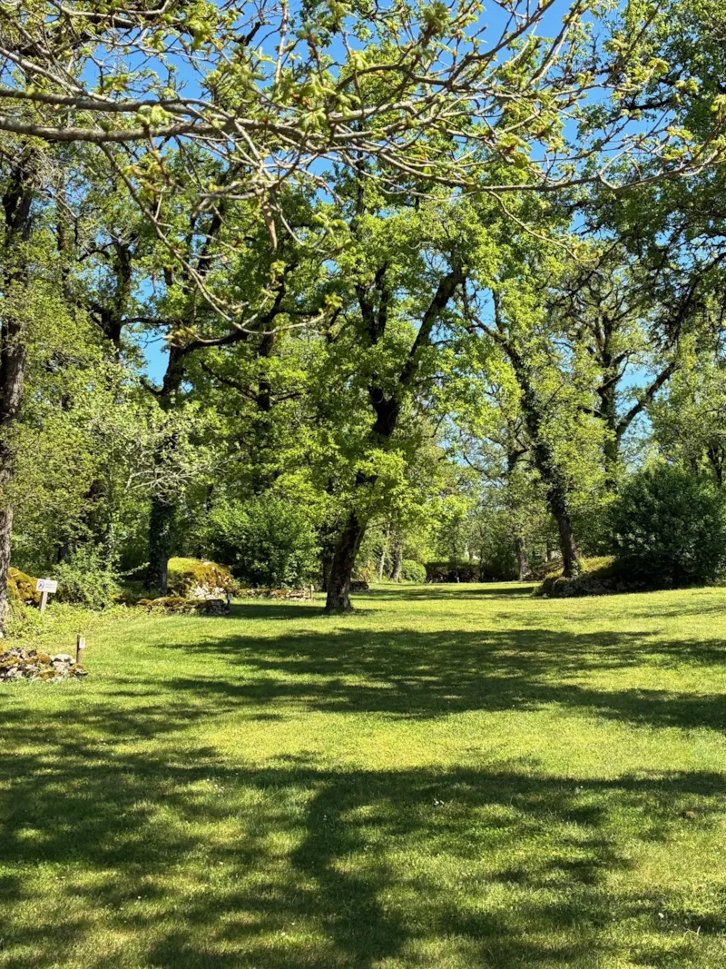 Emplacement Confort - Electricité
