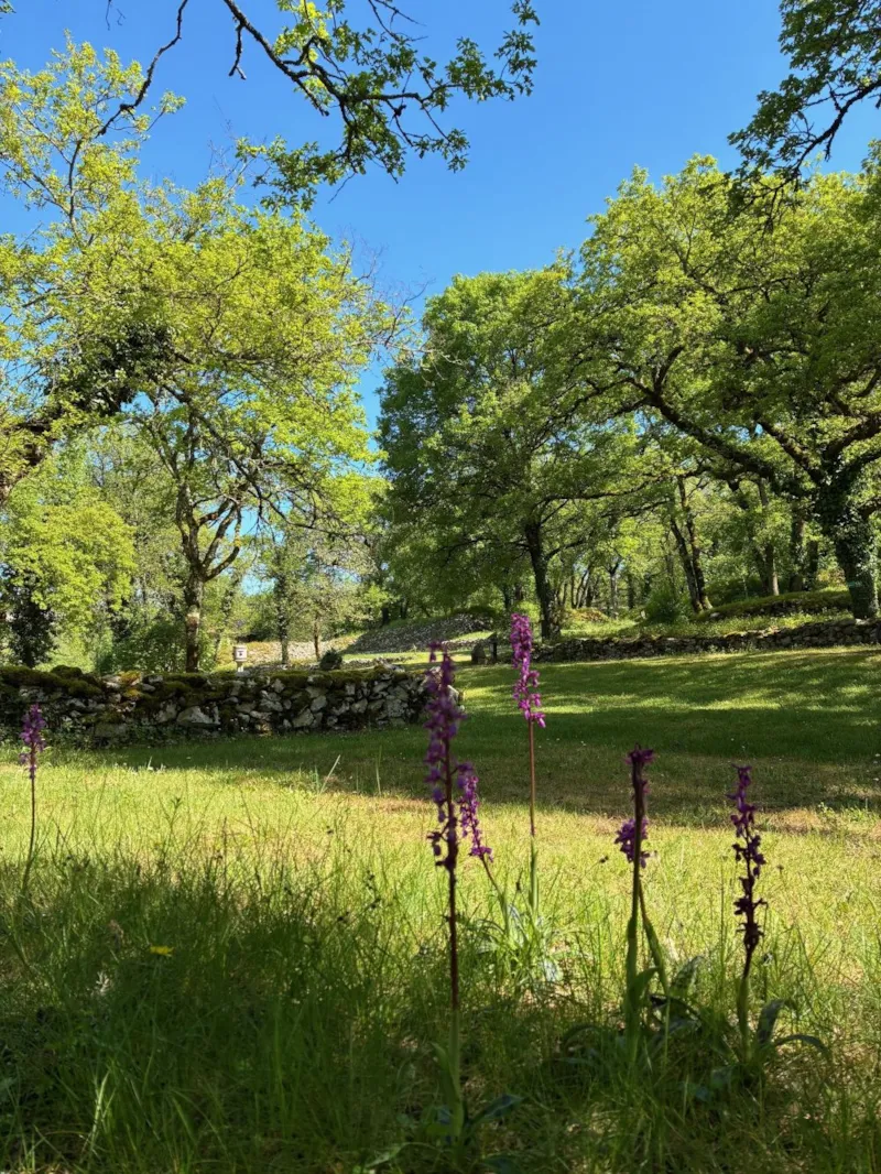 Emplacement Confort - Electricité