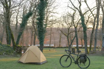 Stellplatz - Roamingpaket: Stellplatz & Strom 6A - Camping Domaine de la Faurie 