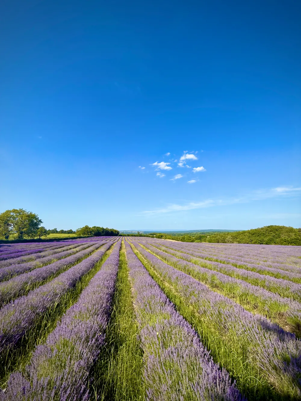 Camping Domaine de la Faurie 