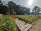 Foto #4 van Domaine Naturiste Le Clos Barrat