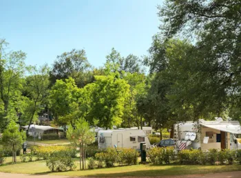 Pitch - Pitch Comfort - Aminess Maravea Camping Resort