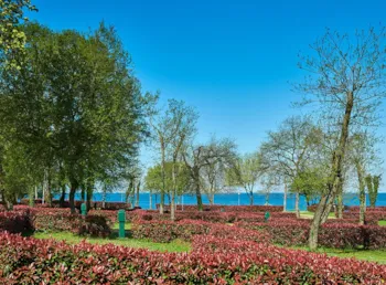 Pitch - Pitch Comfort Mare - Aminess Maravea Camping Resort