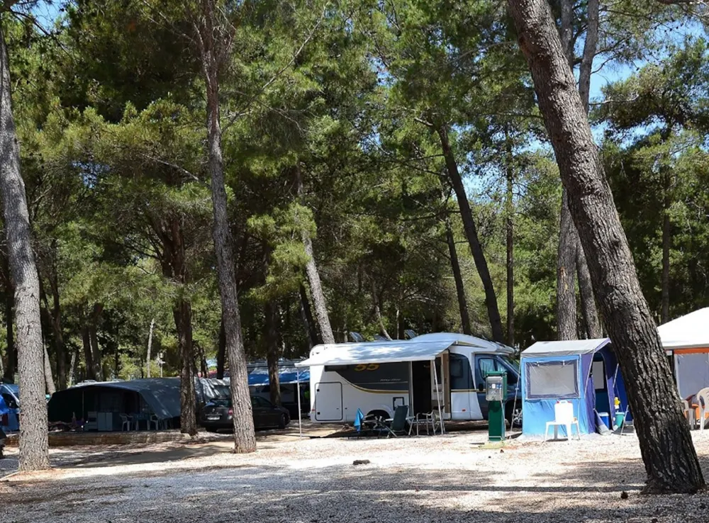 Emplacement - Emplacement Comfort - Aminess Sirena Campsite