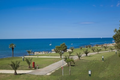 Pitch Luxury Mare — 2