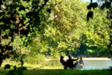 Foto #17 van Flower Camping Les Ondines