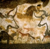 Foto #55 van Domaine de La Paille Basse