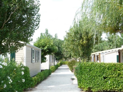 Mobile home Paradis 30m² - 2 bedrooms — 2