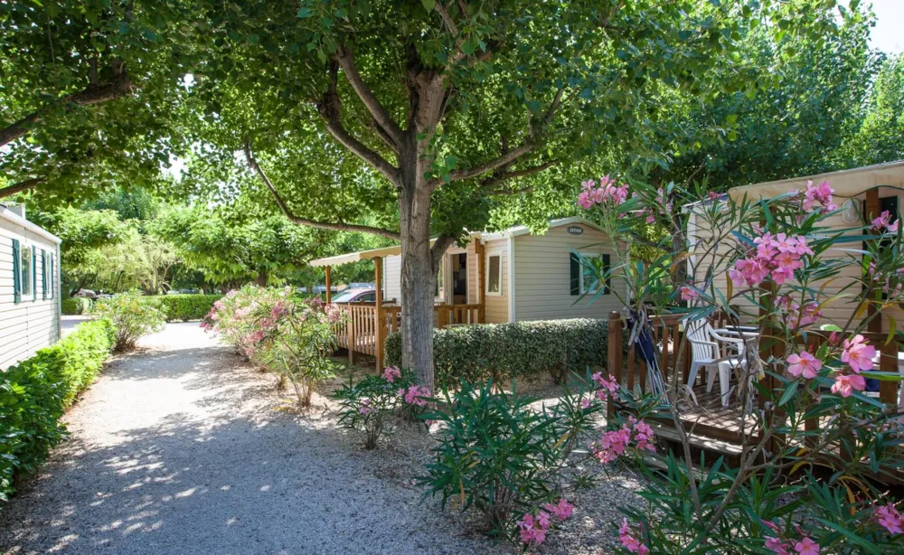 Location - Mobil Home Paradis 30M² - 2 Chambres - Camping Paradis Les Amarines
