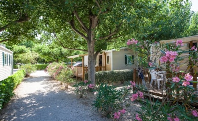 Mobile home Paradis 30m² - 2 bedrooms — 1