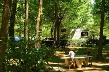 Emplacement - Emplacement Paradis : Tente, Caravane Ou Camping-Car + 1 Véhicule + Électricité - Camping Paradis Les Amarines