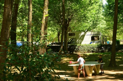 Paradis pitch: tent, caravan or camper + 1 vehicle + electricity — 1