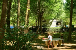 Kampeerplaats(en) - Paradis Standplaats : Auto + Tent / Caravan Of Kampeerauto + Elektriciteit - Camping Paradis Les Amarines