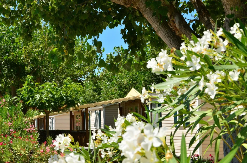 Camping Paradis Les Amarines