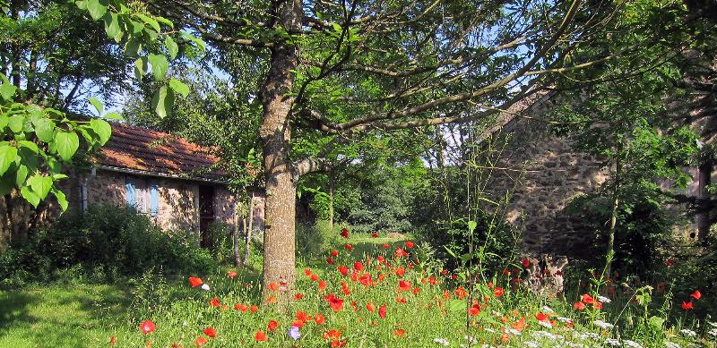 Établissement Camping La Chassagne - Ronnet