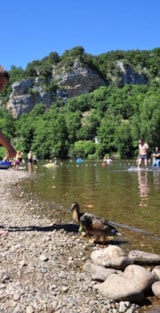 Foto #8 van Camping Paradis LA PLAGE à St Cirq Lapopie