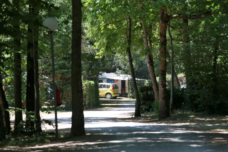 Emplacement Privilège 130M² (1 Tente, Caravane Ou Camping-Car / 1 Voiture / Électricité + Eau)