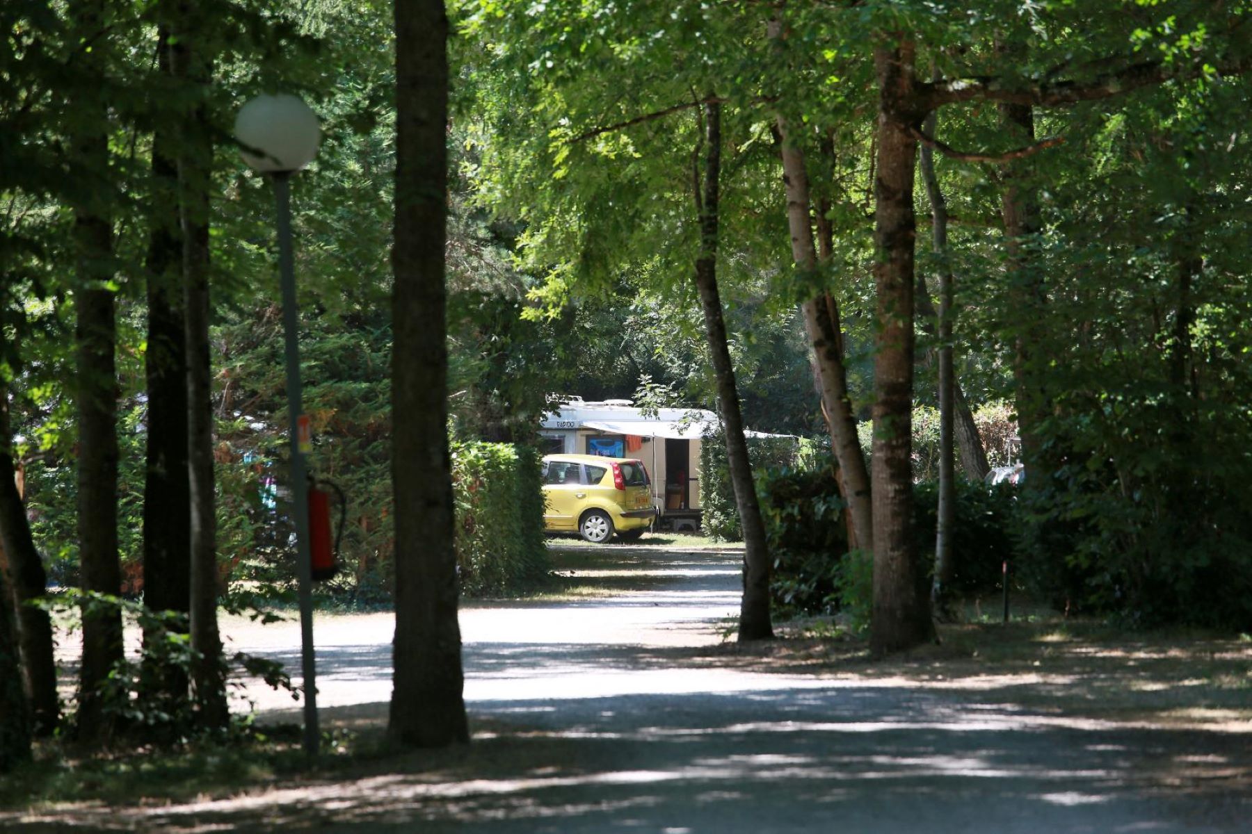 Emplacement Confort 80m² (1 tente, caravane ou camping-car / 1 voiture / électricité)