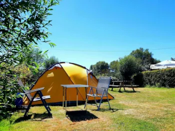 Stellplatz - Zeltwiese - Kompas Camping Westende