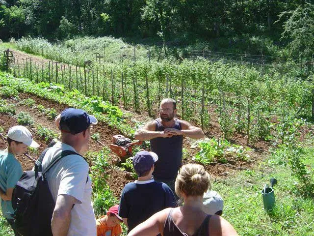 Camping LA TRUFFIERE à Saint Cirq Lapopie