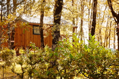 DELUXE DUO CABIN ON PILOTIS PANORAMIC VIEW