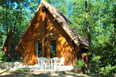 The authentic wooden chalet duplex