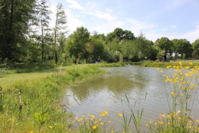 Camping Geelenhoof
