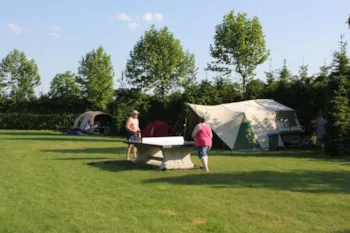 Emplacement - Emplacement Confort 120M² + Tente Électricité 6A - Camping Geelenhoof