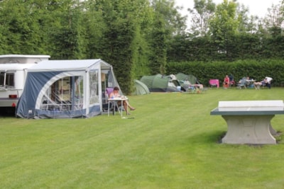 Comfort pitch caravan 120m² / 6 amp. — 3