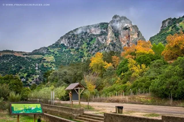 Camping Pueblo Blanco