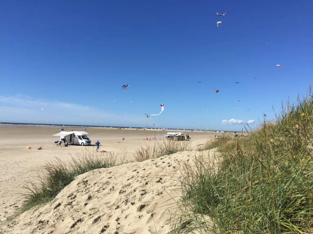 Ballum Camping - image n°13 - UniversalBooking