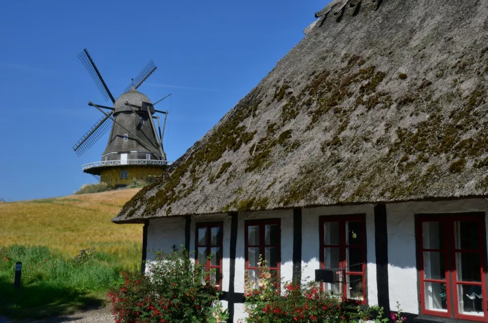 Ballum Camping - image n°31 - UniversalBooking