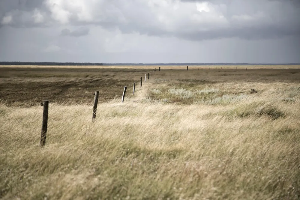 Ballum Camping - image n°39 - UniversalBooking