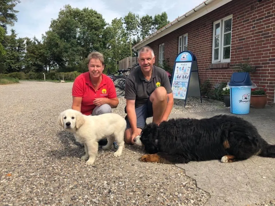 Ballum Camping - image n°40 - UniversalBooking