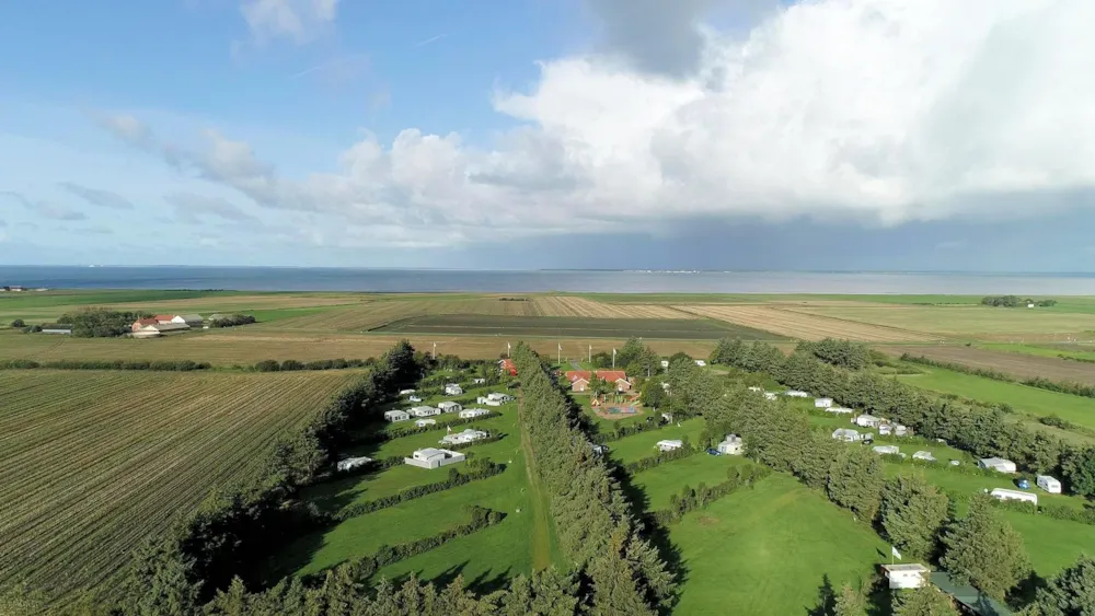 Stellplatz - Stellplatz - Ballum Camping