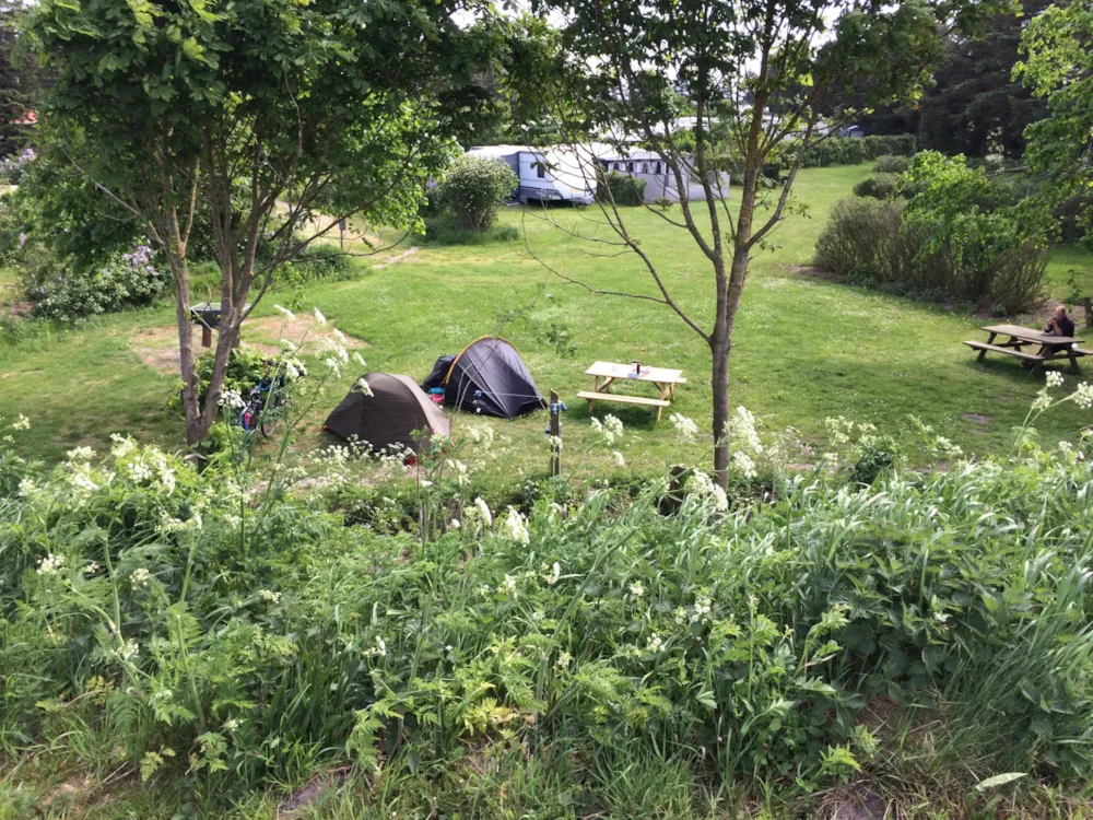 Ballum Camping - image n°6 - UniversalBooking