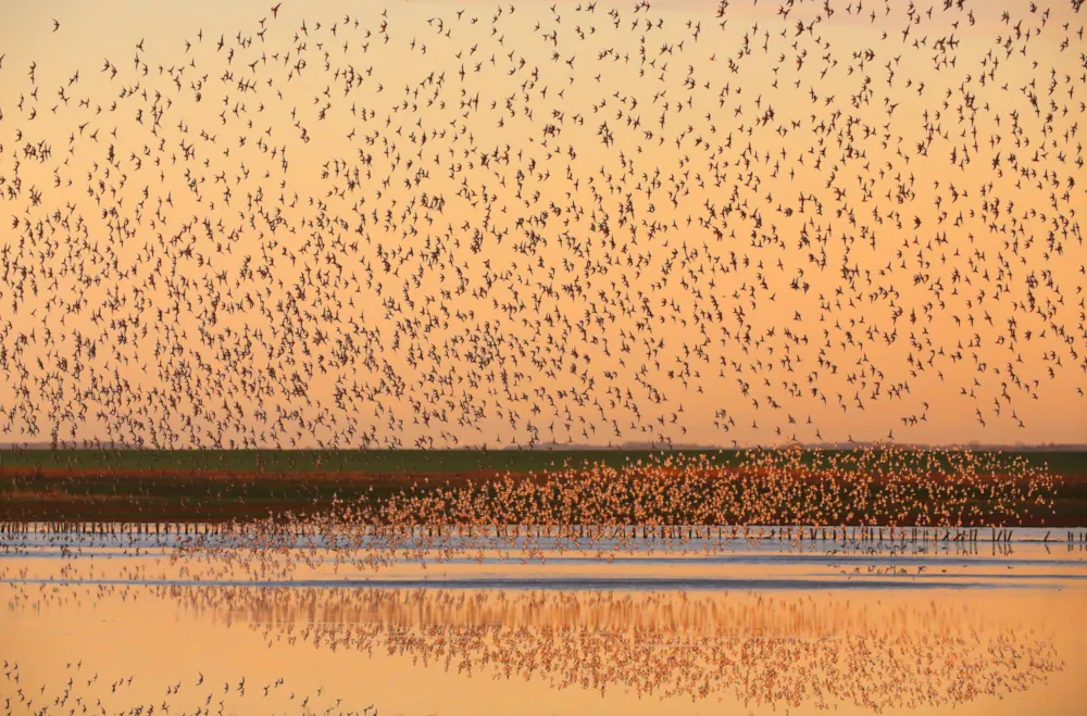 Ballum Camping - image n°37 - UniversalBooking