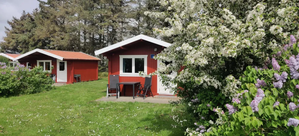 Ballum Camping - image n°3 - UniversalBooking