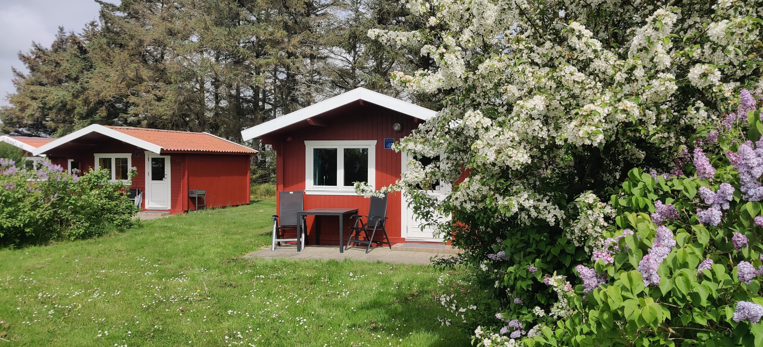 Ballum Camping — Foto 3