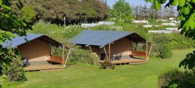 Ballum Camping