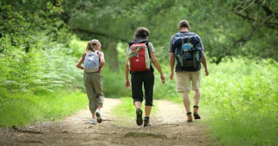 SPECIAL PRICE FOR CYCLISTS / HIKERS - 1 night only — 1